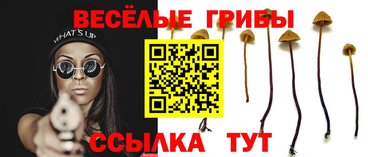 Казань  Псилоцибиновые грибы Magic Shrooms  Вход с VPN 